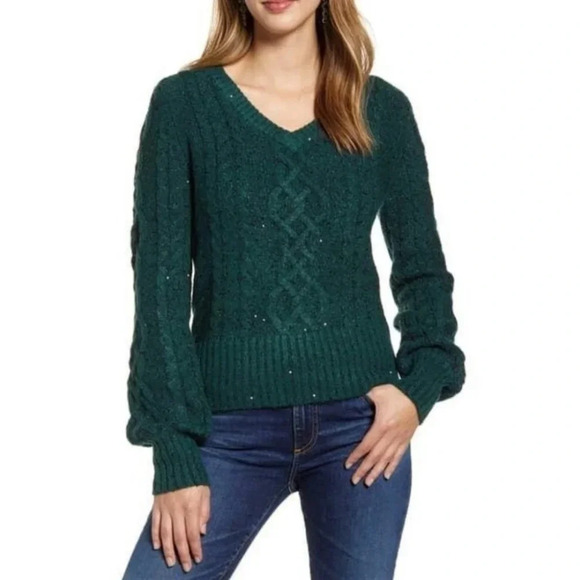 NWT Rachel Parcell Green Botanical Sequin Cable Knit Sweater S - Picture 1 of 9